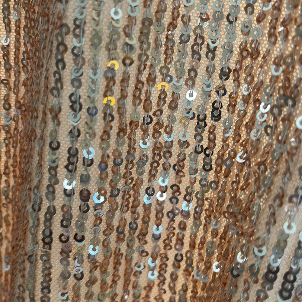 𝙶𝚘𝚕𝚍 sequins - Picture 3 of 3
